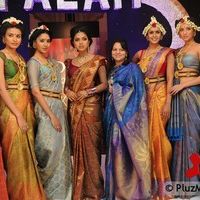 Amlapaul in PALAM Fashion Show Pictures